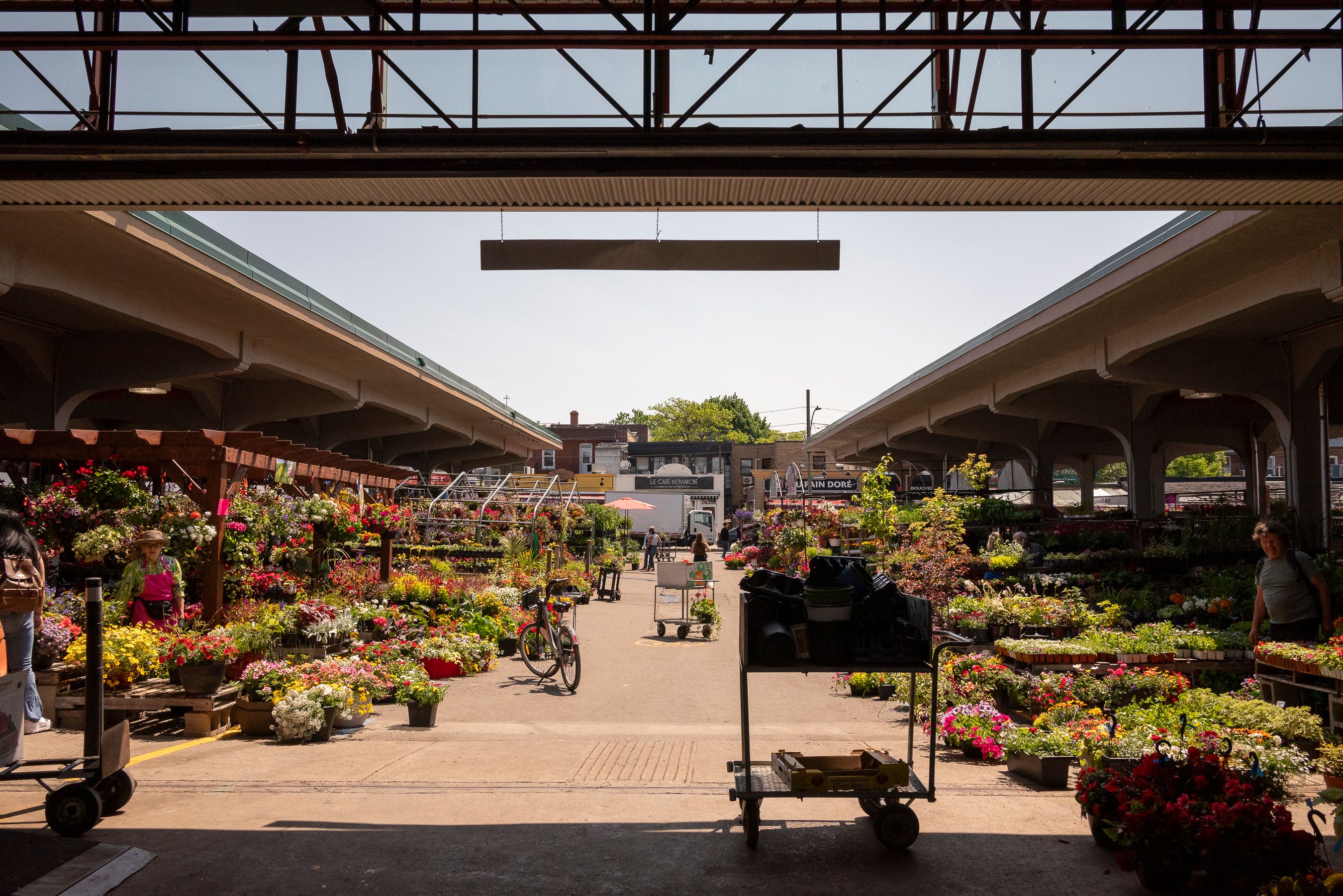 Jean-Talon Market