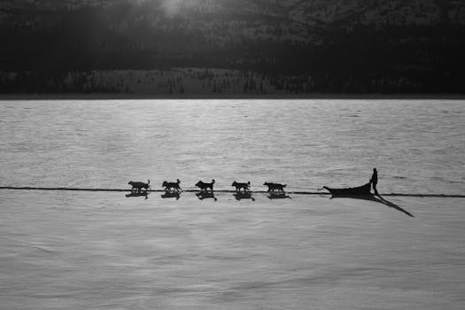 Free pics rowing erotic