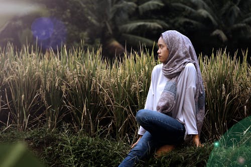 Woman Sitting Near Rice Field