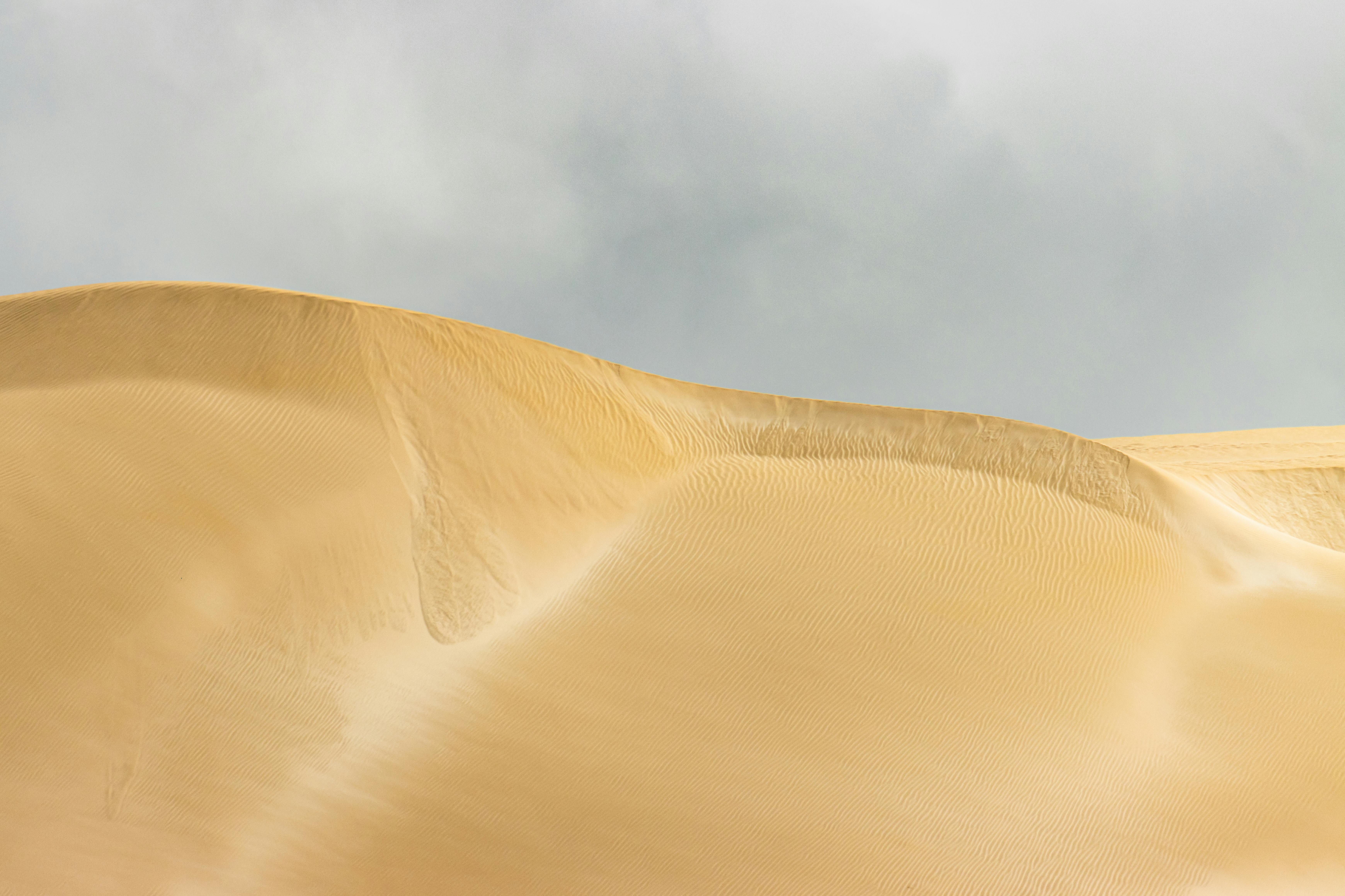 Dune Cuts Staff Amid AI Investments: What It Means for Crypto