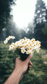 A hand holds a bouquet of white daisies in a tranquil forest, showcasing nature's beauty.
