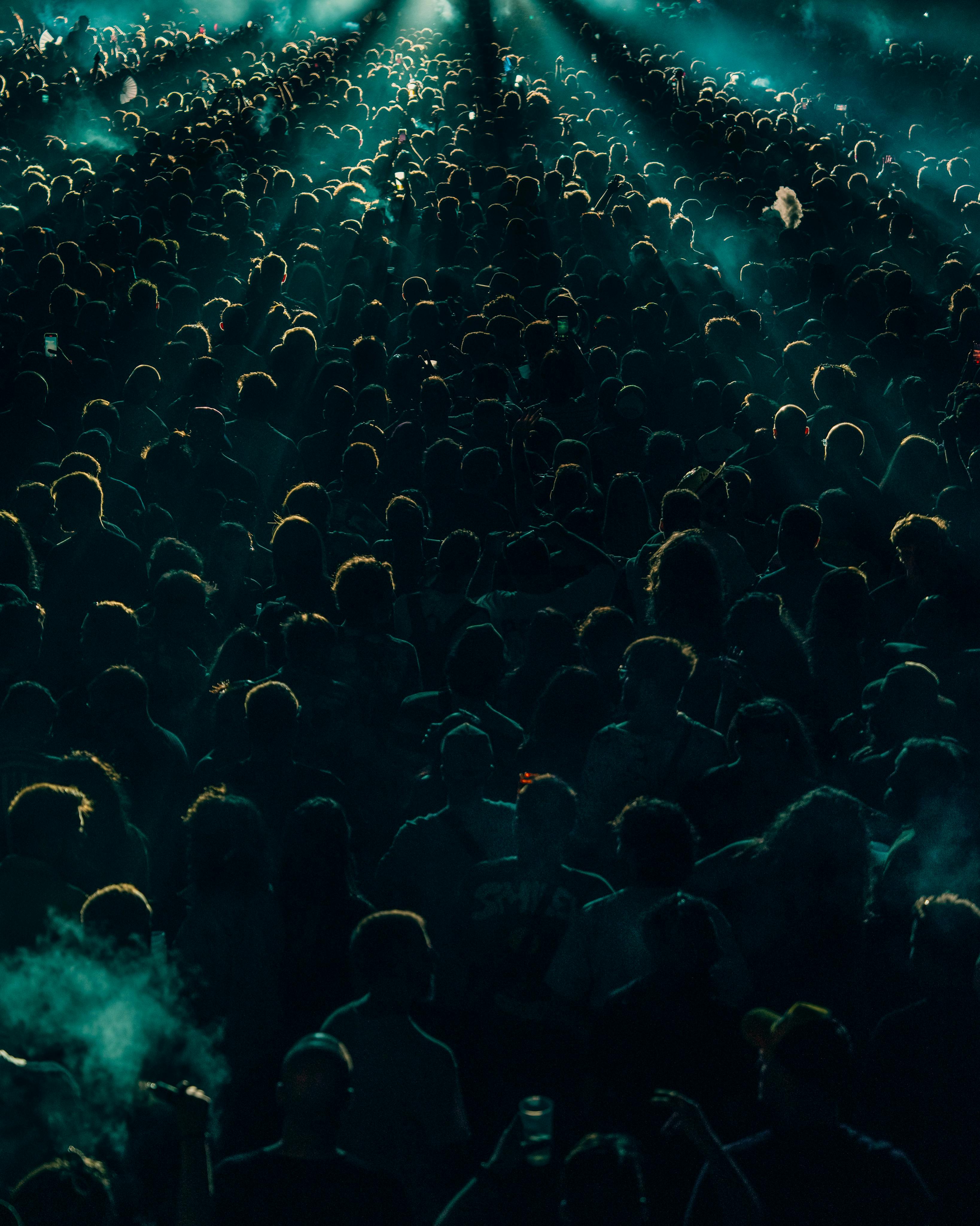 crowd at the concert at night