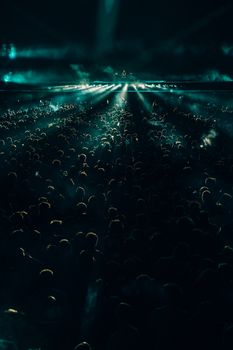 A large crowd enjoying a night concert with dramatic lighting effects and vibrant atmosphere.