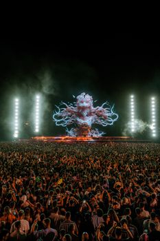 Vibrant night concert scene with a massive crowd enjoying spectacular light displays.