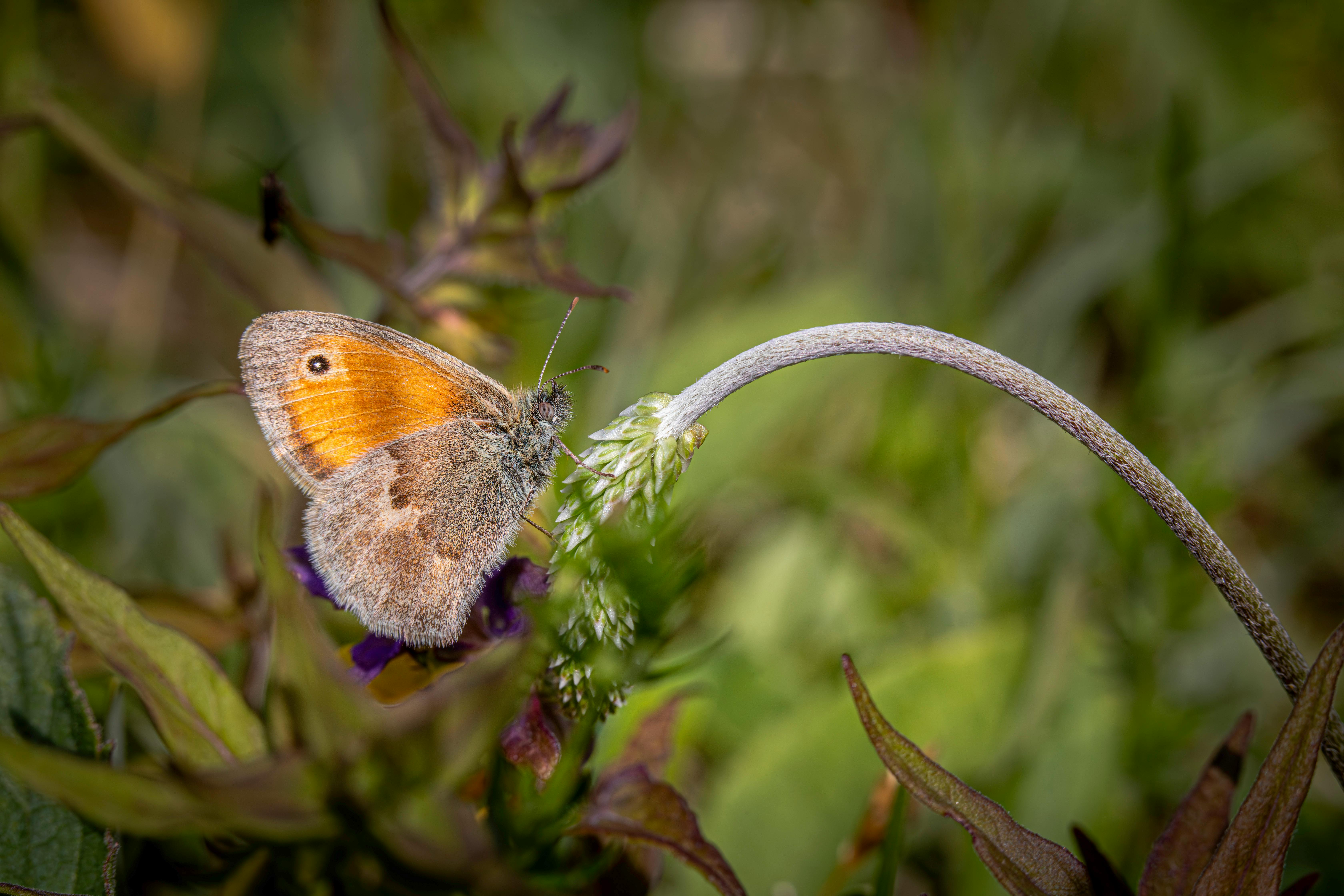 Traveling with Kids - Survival Tips