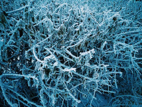 Free stock photo of blue, cold, frozen Stock Photo