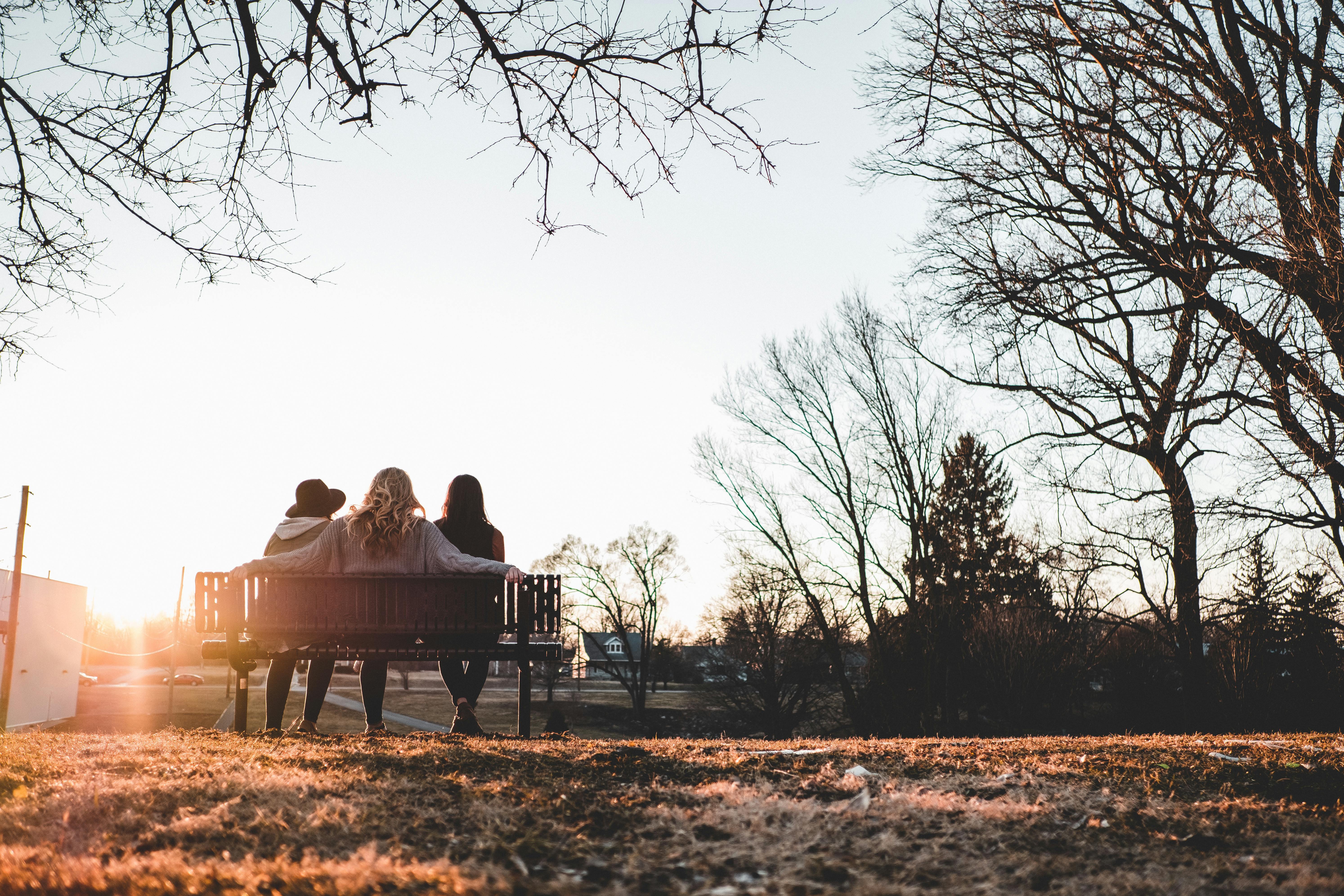 three person sitting on bench under withered trees