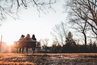 三位朋友在落叶纷飞的公园长椅上，静静欣赏着日落