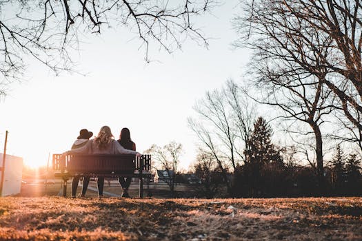 三位朋友在落叶纷飞的公园长椅上，静静欣赏着日落