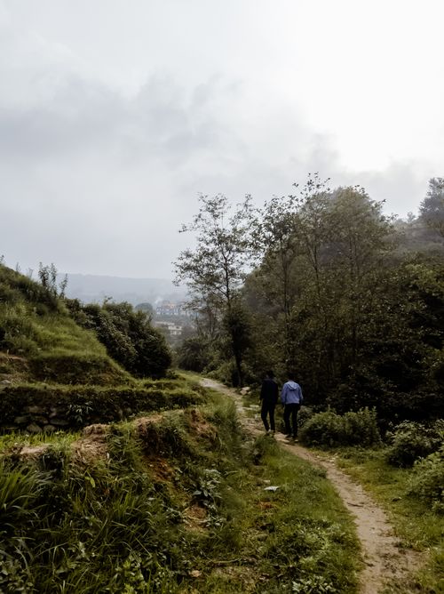 Free Two people hike along a lush forest path in Kathmandu, Nepal, surrounded by greenery and tranquility. Stock Photo