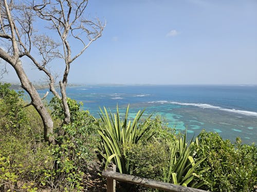 Vue sur mer depuis les hauteurs