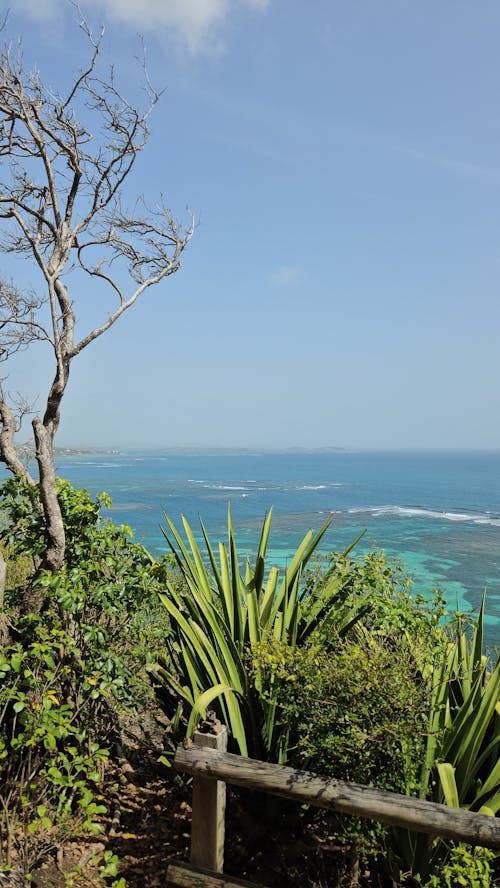 Vue sur mer depuis les hauteurs