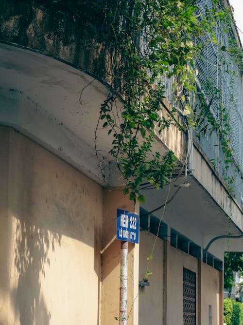 Foto profissional grátis de ao ar livre, arquitetura, árvore