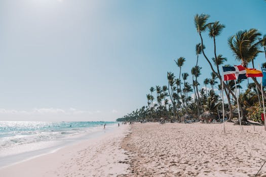 Beautiful beach scene in Punta Cana, Dominican Republic, with clear skies and palm trees waving in the breeze.