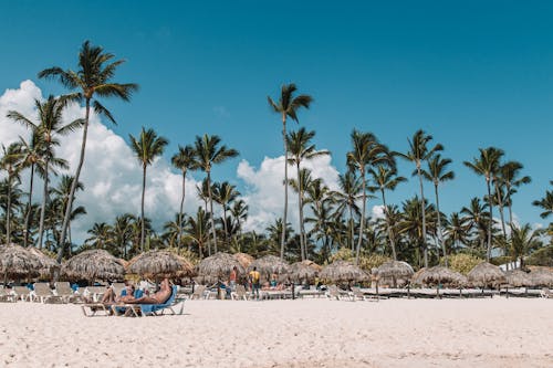 Foto profissional grátis de areia branca, banhos de sol, cabanas nipa