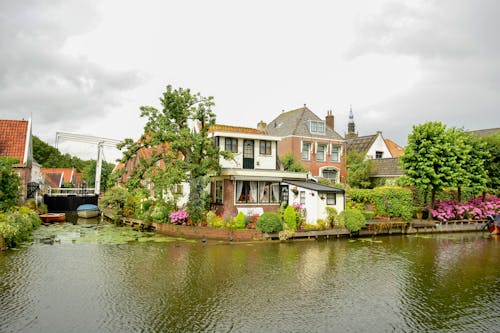 Free stock photo of boat, flowers, house