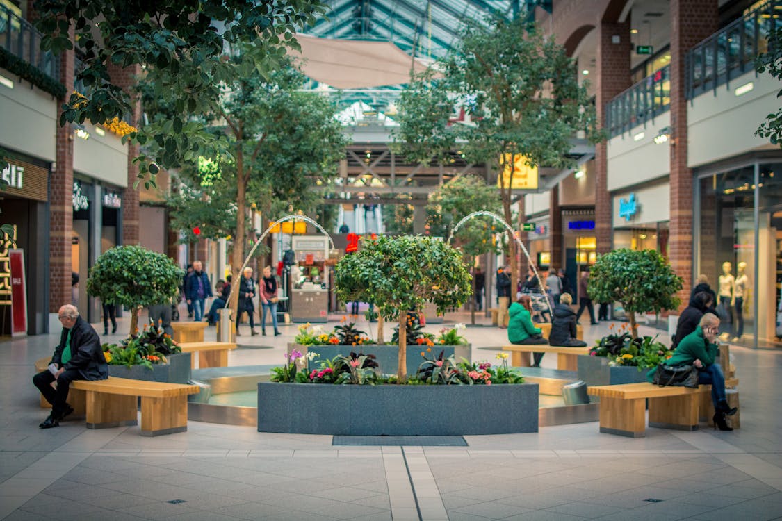 Group of People Sittings on Chair Beside Trees