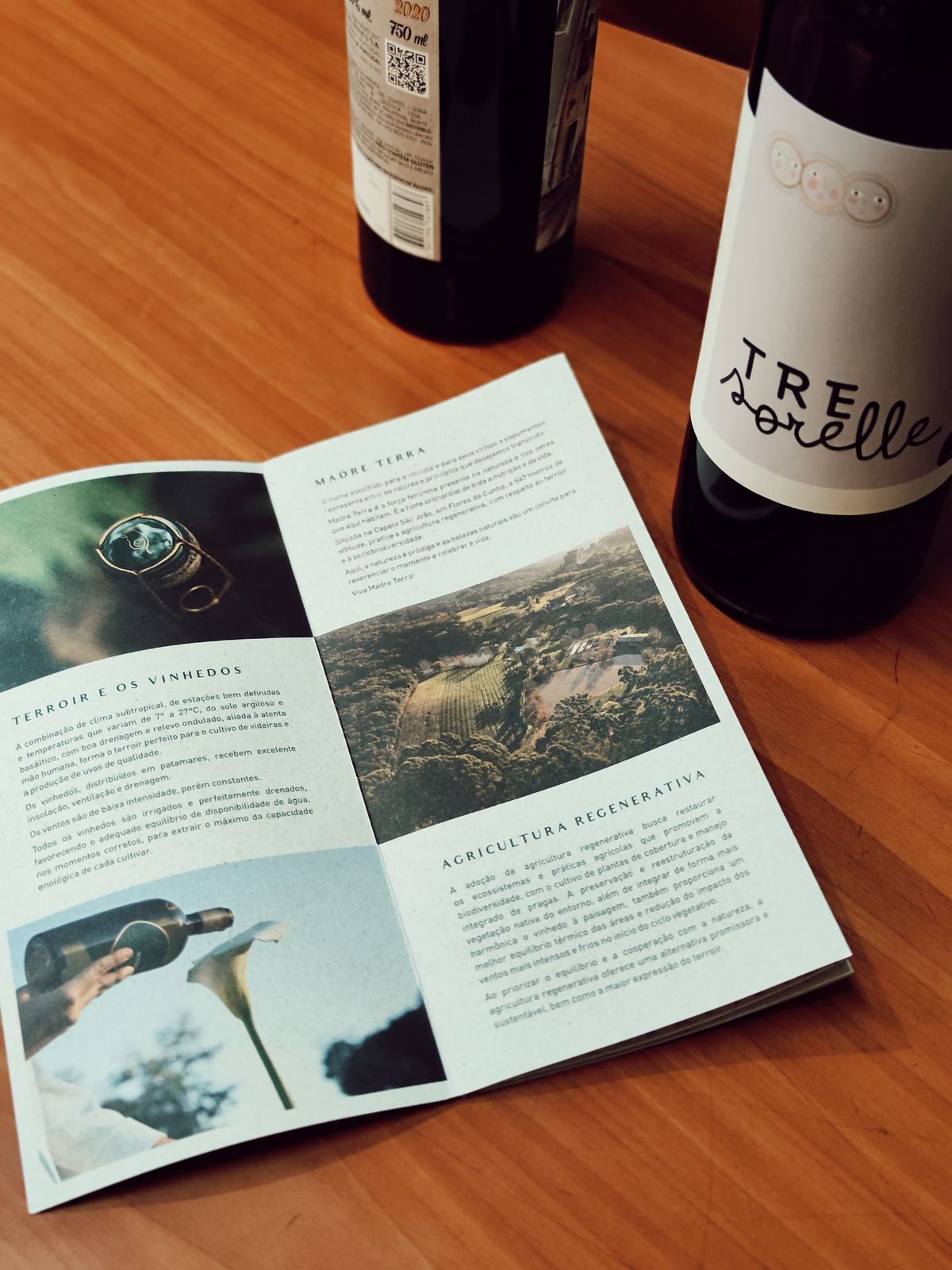 Brochure, Depliant e Opuscoli