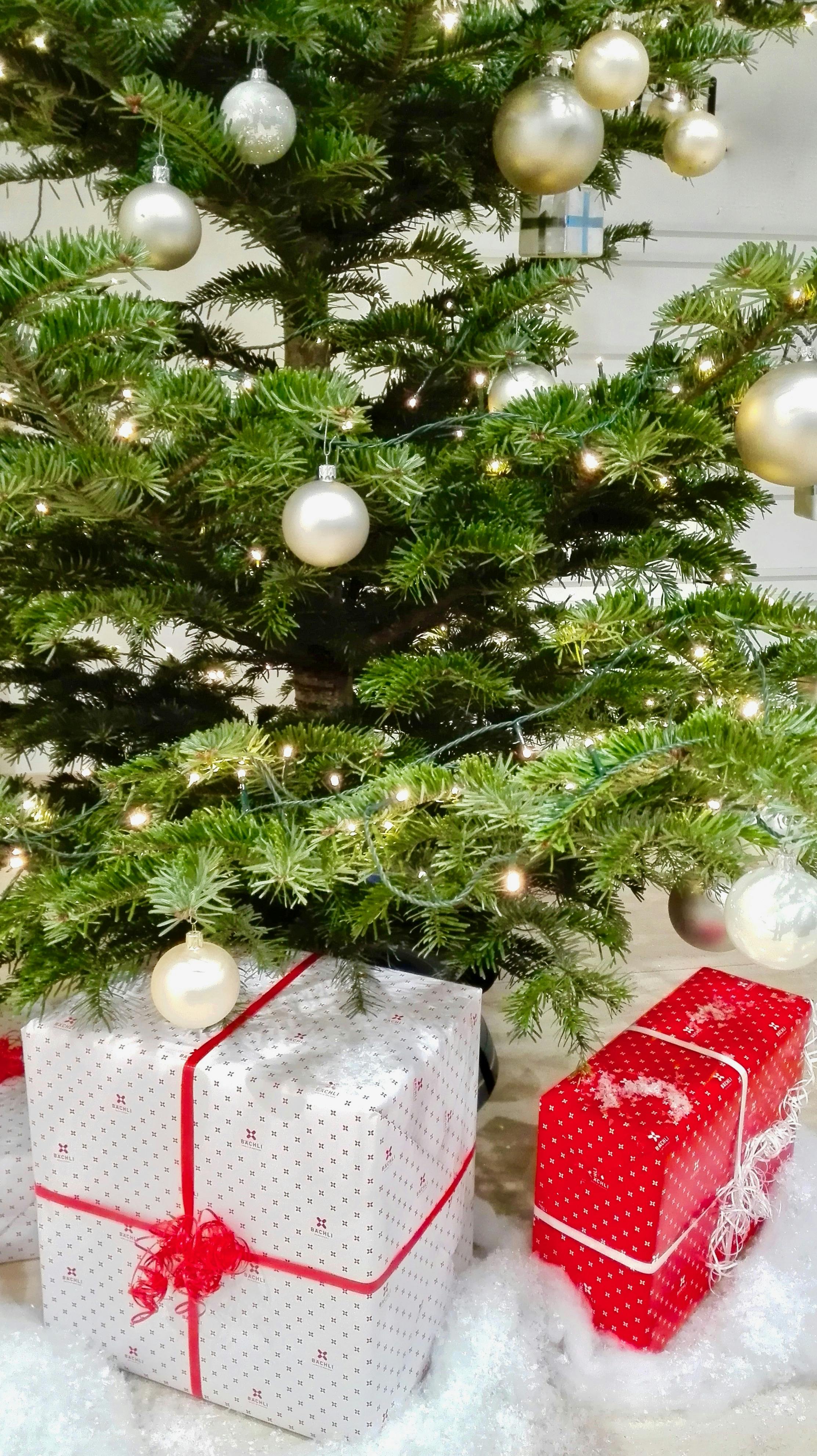 gifts beside green christmas tree