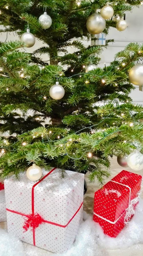 Gifts Beside Green Christmas Tree