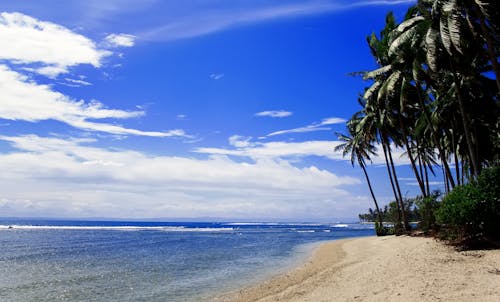 Kostnadsfri bild av natur, naturfotografering, strand