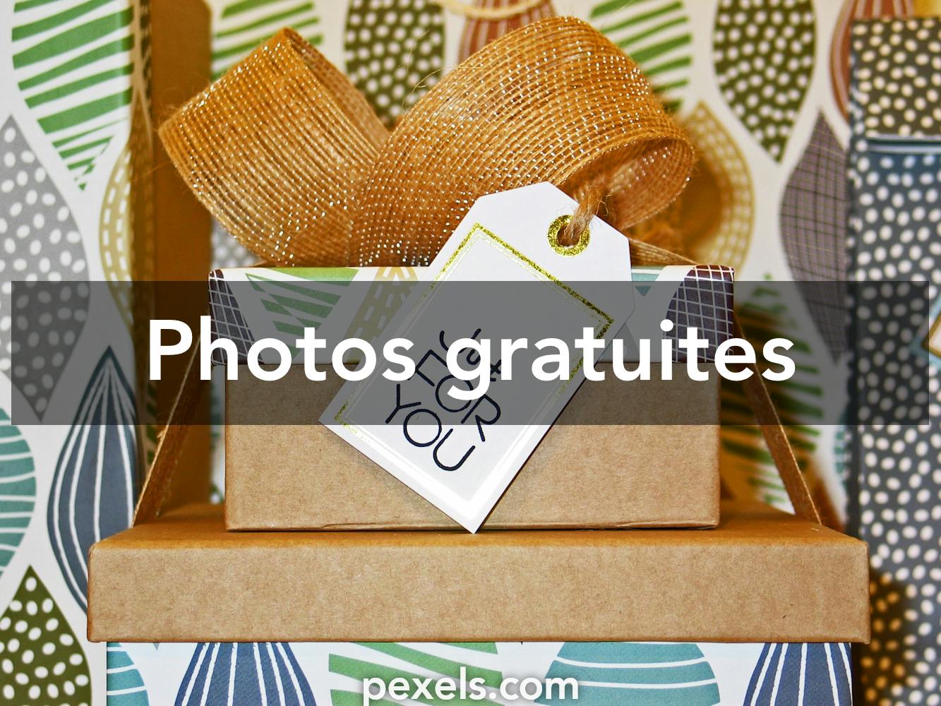 Photos Cadeau Pour Chat, 78 000+ photos de haute qualité gratuites
