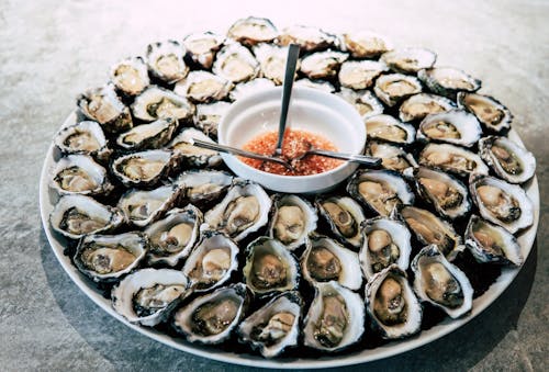 Free Oysters on Plate Stock Photo