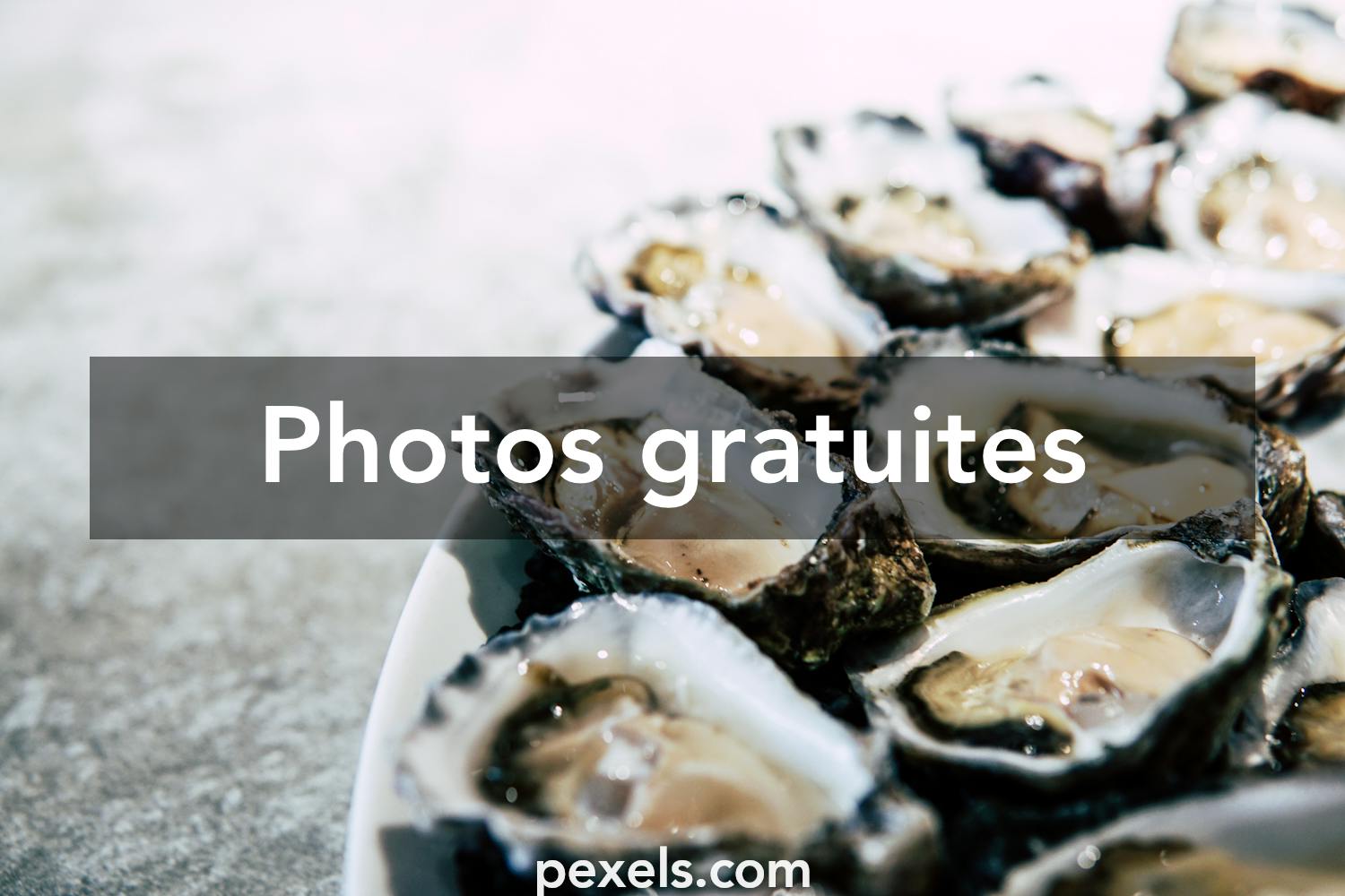 Écaillage des huîtres images libres de droit, photos de Écaillage des  huîtres