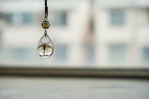 Selective Focus Photography of Glass Hanging Decor