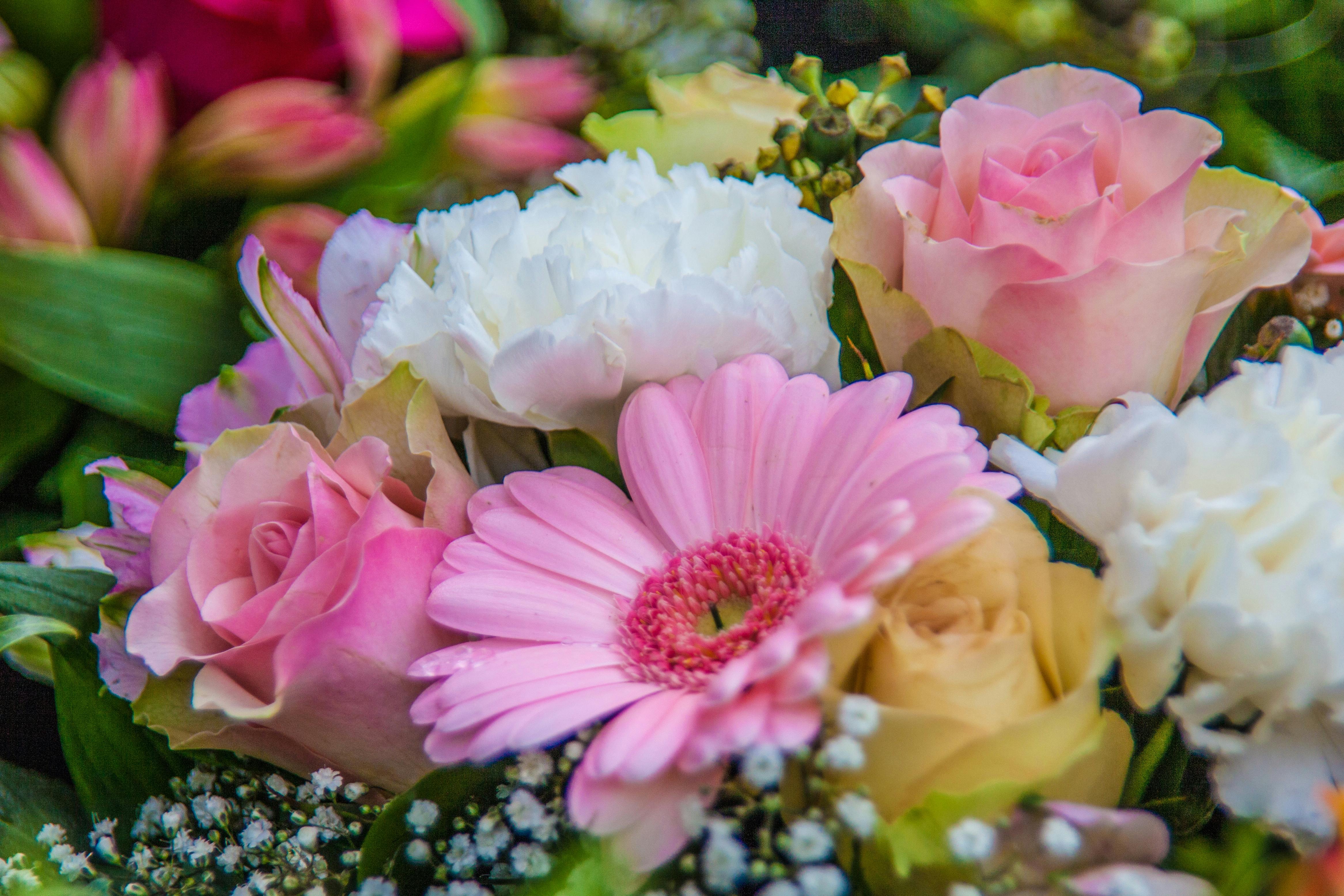 Photo Gratuite De Bouquet Fleurs Magnifique