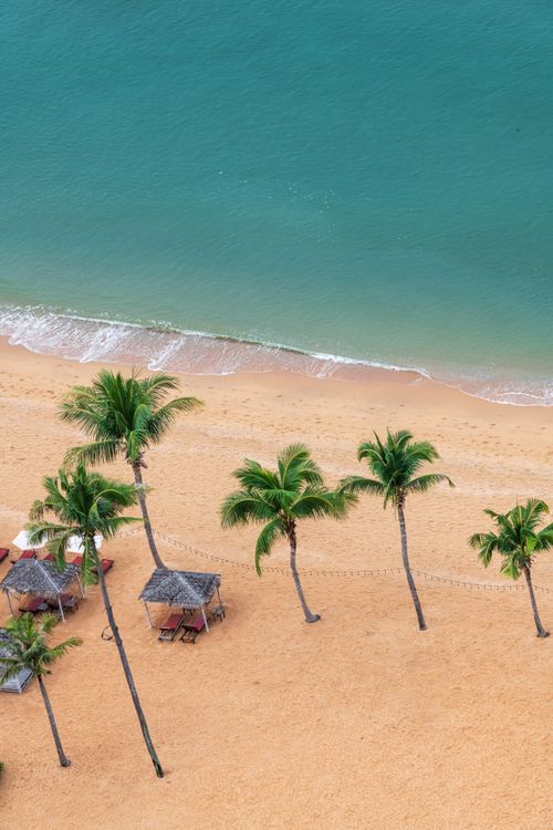 Free Stunning high-angle view of a tropical beach with palm trees and turquoise waters in Pattaya, Thailand. Stock Photo