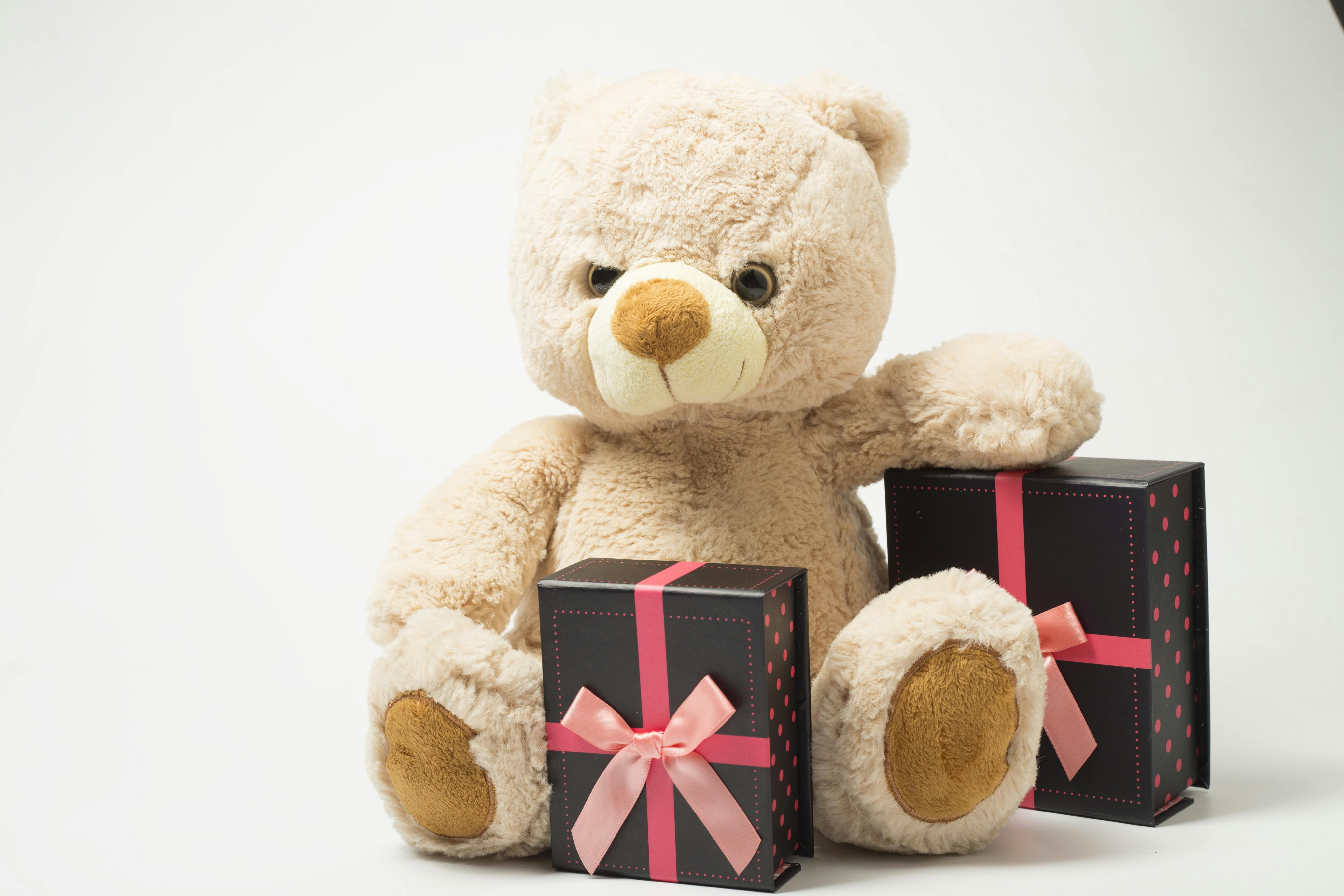 HD wallpaper: Cute Girl Hugging Teddy Bear, girl's white dress and brown  bear plush toy