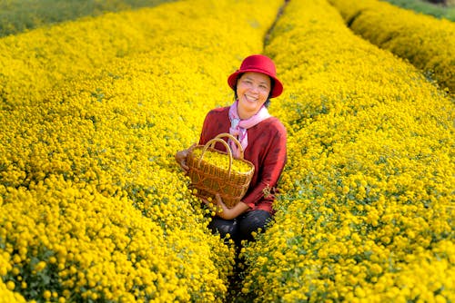 女人提着篮子充满黄色的花朵