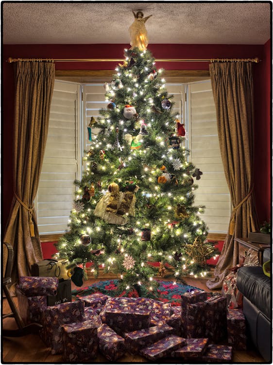 Turned-on String Lights Christmas Tree