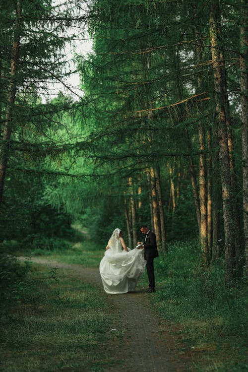 Foto d'estoc gratuïta de arbres, bosc, camí