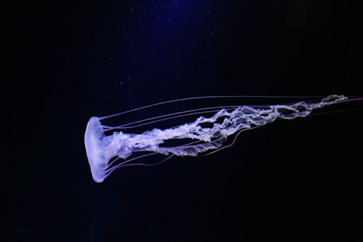 在深蓝色的海洋深处，一只令人惊叹的水母优雅地游动着，展示着它精致的半透明形态