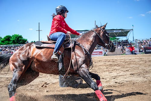 Fotobanka s bezplatnými fotkami na tému cowman, dospelý, džokej