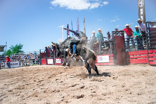 Action-packed rodeo scene with a cowboy riding a bucking bull outdoors.
