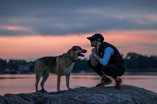 Kostenloses Stock Foto zu ball, brody, bucht inselpark