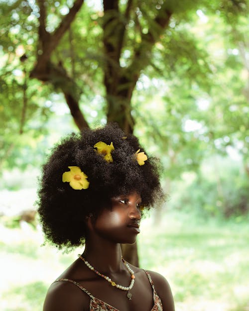 Foto profissional grátis de afro, ao ar livre, árvore