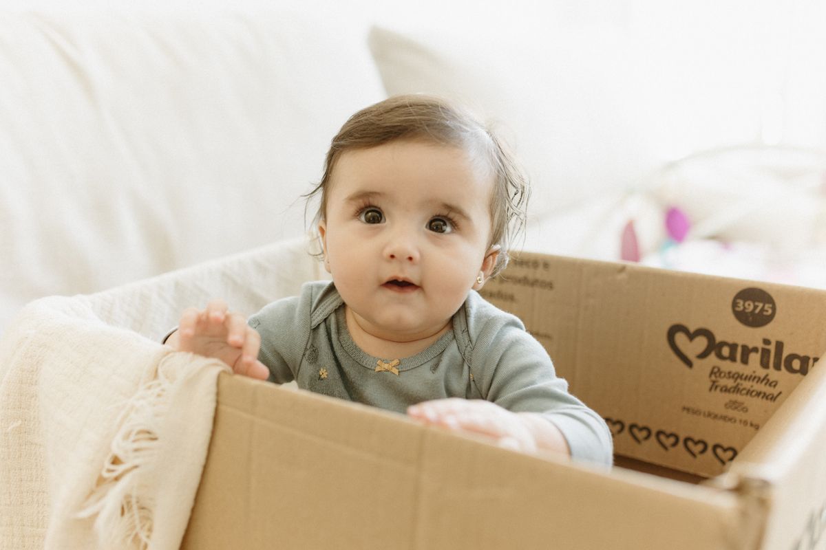home removals in Greenwich — Home Removals in Greenwich — the working end of the job