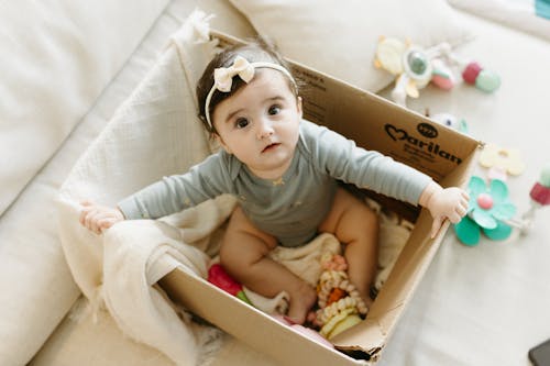 Free A baby in a cardboard box with a toy Stock Photo