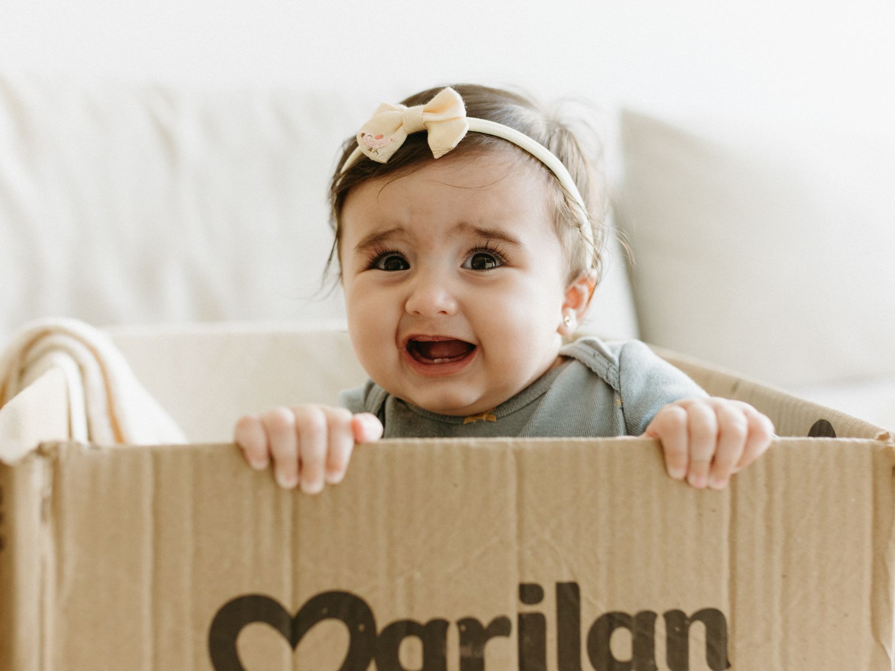 Loanhead — professional movers carrying furniture on a house move