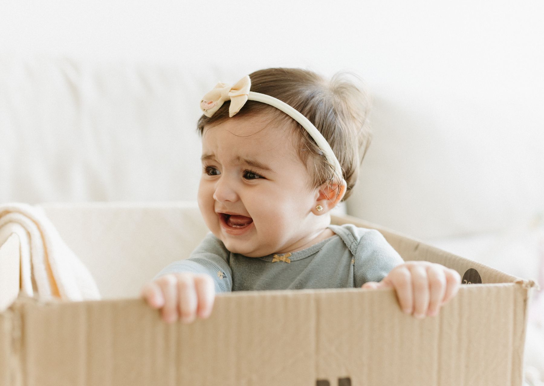 Same-day removals van loading — packing services in Icklesham