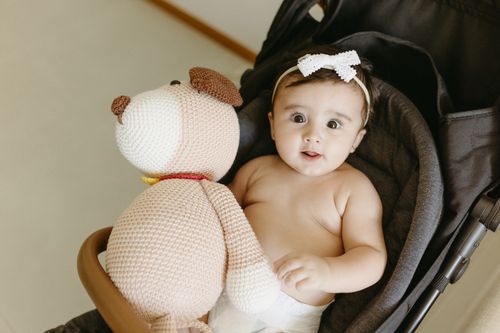 Free Adorable baby in a stroller holding a knitted toy dog. Perfect for family themes. Stock Photo