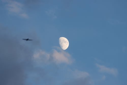 Free stock photo of half moon, moon background, moon phase