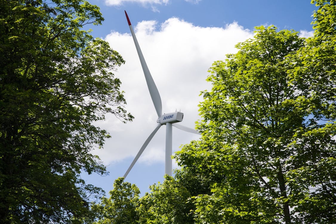 A wind turbine in the woods with trees · Free Stock Photo