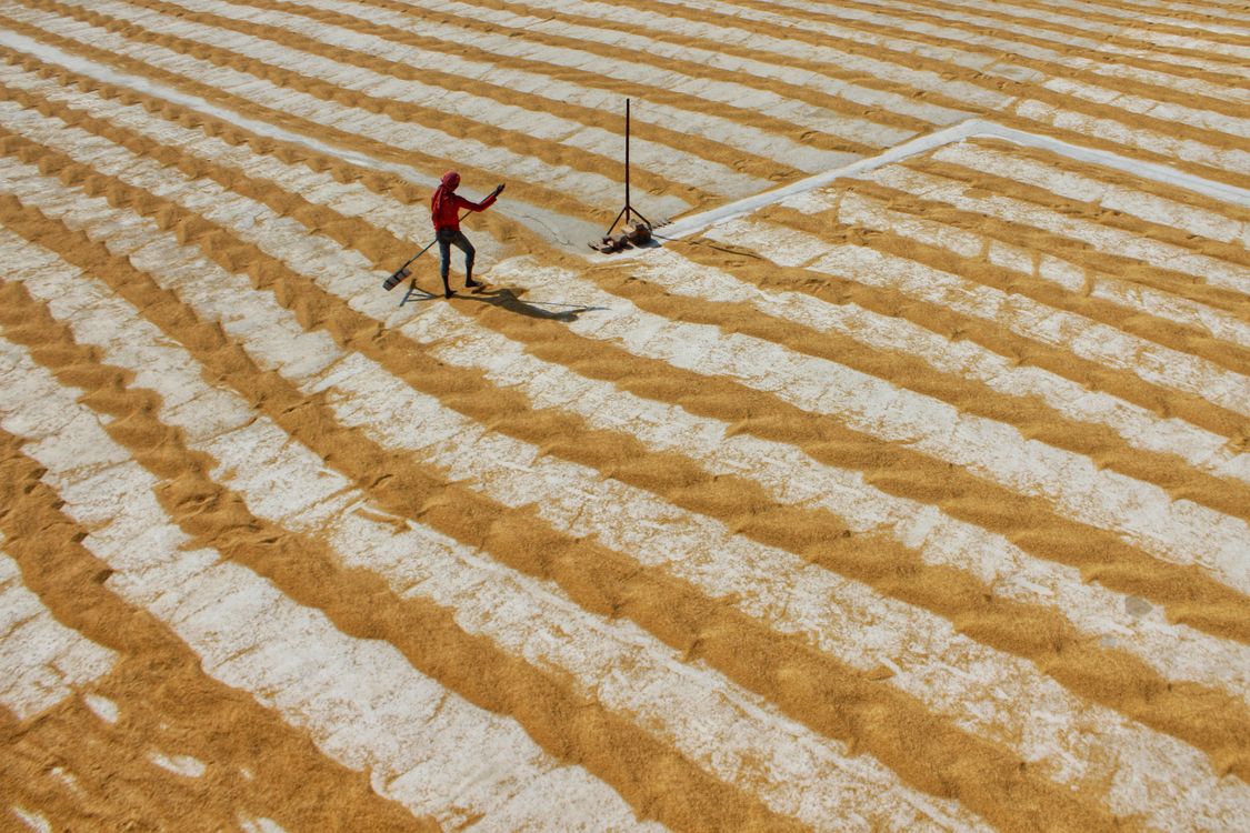 People Working on a Field · Free Stock Photo