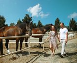 Man and Woman  holding hands while walking near Two  Horses