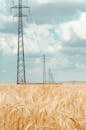 金色麦田中的高压输电塔，在多云天空下
